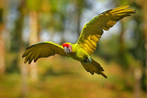 fria-bellezza-senza-confini-amazonia-detox-2