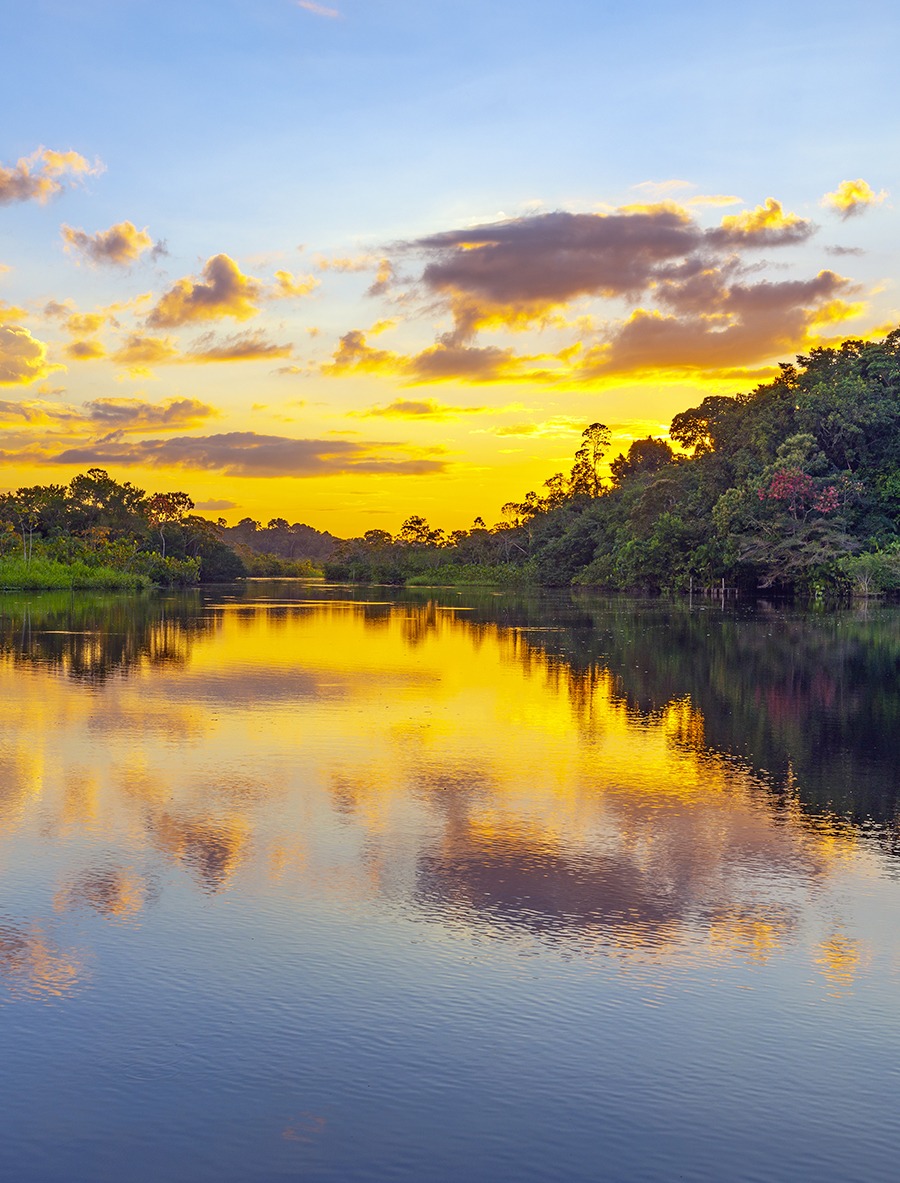 fria-bellezza-senza-confini-amazonia-detox-6
